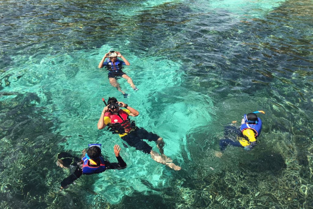 Coral Snorkeling